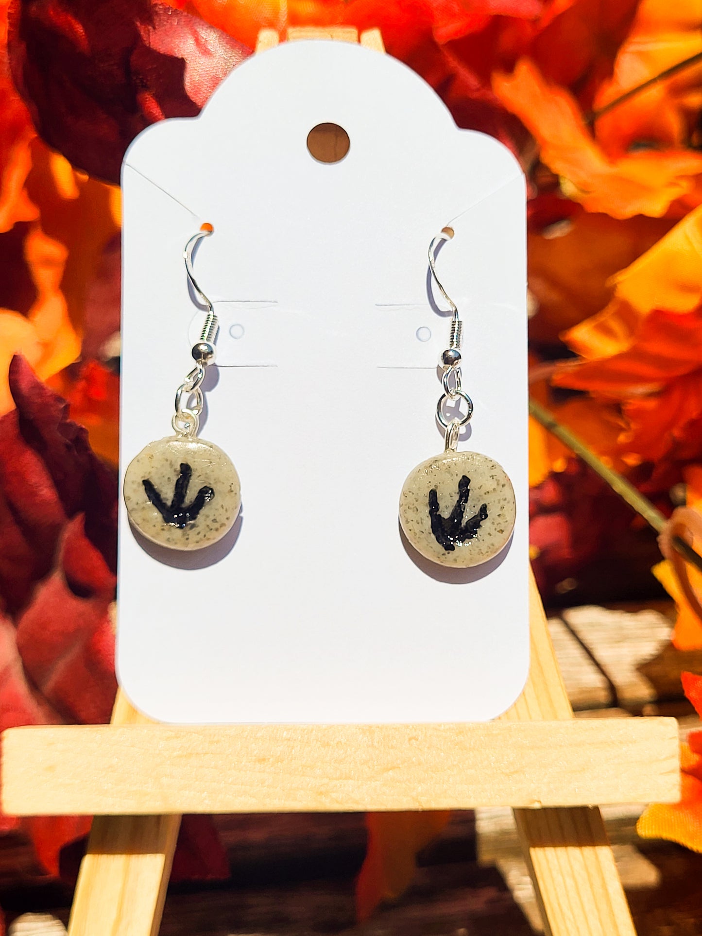 Fossil Earrings